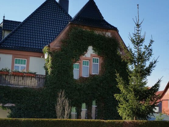 Sanierung Historische Fenster